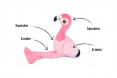 flora-the-flamingo-info