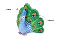 percy-the-peacock-info