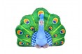percy-the-peacock2