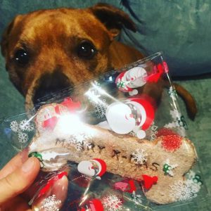 XXL Christmas Cookie
