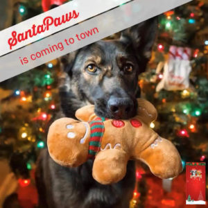 Merry Woofmas
