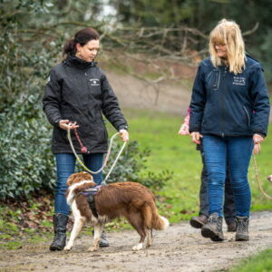 Ontspannen Wandelen en Terrasjestraining