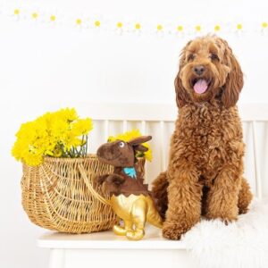 Lente en Paascollectie