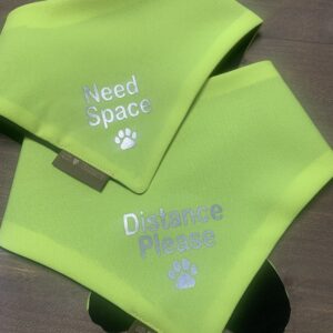 Fluo Bandana