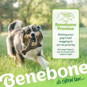 Benebone